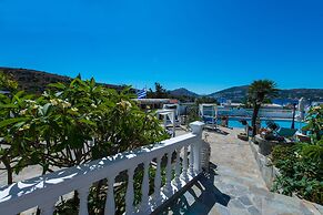 Saraya Resort