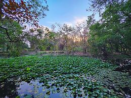 Tiger Trails Resorts