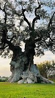 Masseria San Francesco