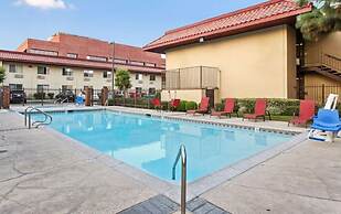 Executive Inn
