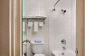 Quality Inn & Suites Ruther Glen