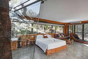 The House 15