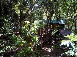 Khao Sok Tree House