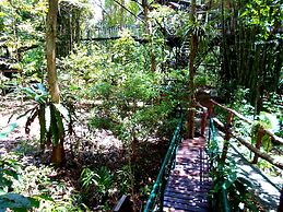 Khao Sok Tree House