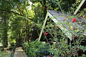 Khao Sok Riverside Cottage