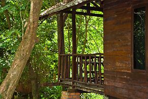 Khao Sok Riverside Cottage