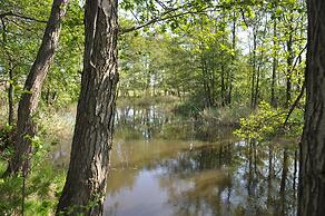 Hotel am Gothensee