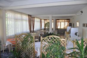 Verdesolemare