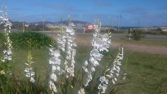 Hotel Playa Grande