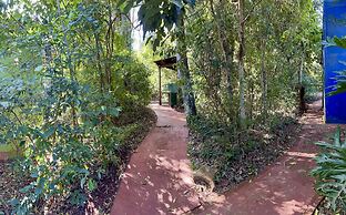 Rainforest Hotel & Cabañas