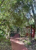 Rainforest Hotel & Cabañas