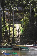 Amazon Dolphin Lodge