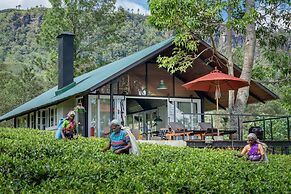 Madulkelle Tea and Eco Lodge
