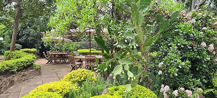 Margarita House