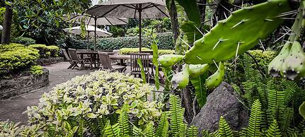 Margarita House