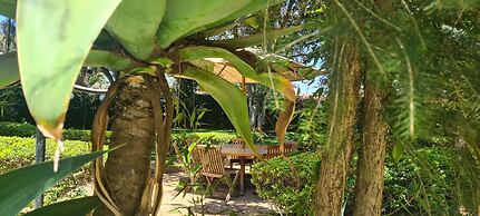 Margarita House
