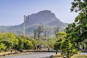 Southern Sun Homestay North