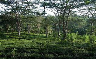 Kahanda Kanda