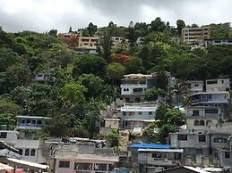 Tropical Bed & Breakfast