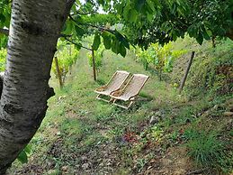 Quinta Manhas Douro