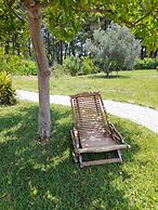 Quinta Manhas Douro