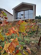 Quinta Manhas Douro