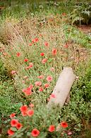 Agroturismo Son Viscos Valldemossa