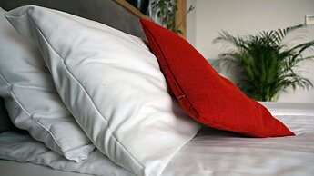 Hotel Forza