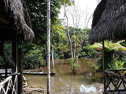 Jungle Wolf Expeditions