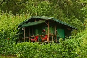 La Leona Eco Lodge