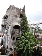 Crazy House