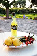 La Chora di Paestum