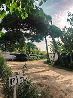 Camping 3 Estrellas