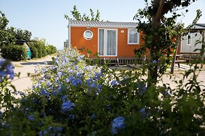 Camping 3 Estrellas