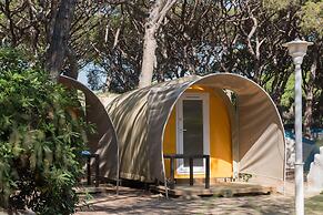 Camping 3 Estrellas