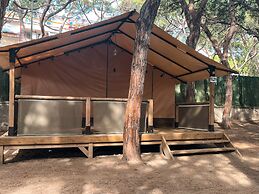 Camping 3 Estrellas