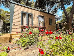 Camping 3 Estrellas