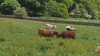 Castlecroft