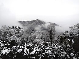 Lalaca