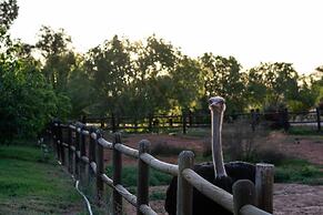 Mooiplaas Guesthouse