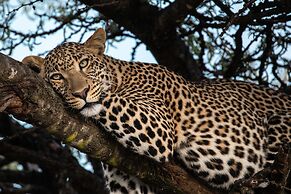 Mahali Mzuri