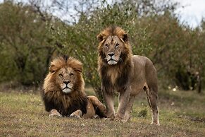 Mahali Mzuri