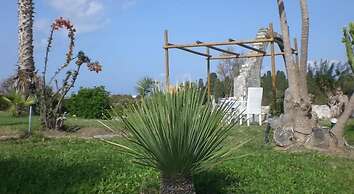 Eftihia Studios
