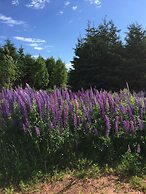 Dreamweavers Cottages and Vacation Homes