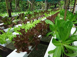 Aganoa Lodge Samoa
