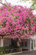 Delio Boutique Hotel