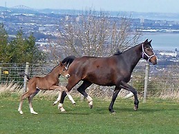 Faside Estate