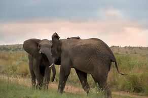 Mhondoro Safari Lodge & Villa
