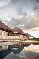 Mhondoro Safari Lodge & Villa