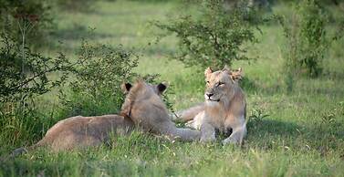 Mhondoro Safari Lodge & Villa